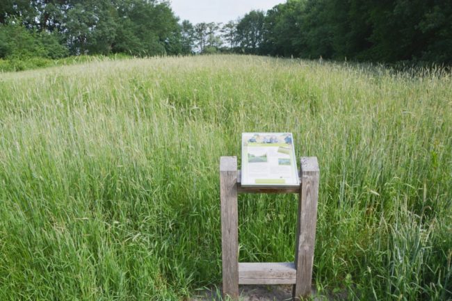 winterrogge op de zuideberg