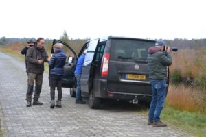 kraanvogels-dsc_0345