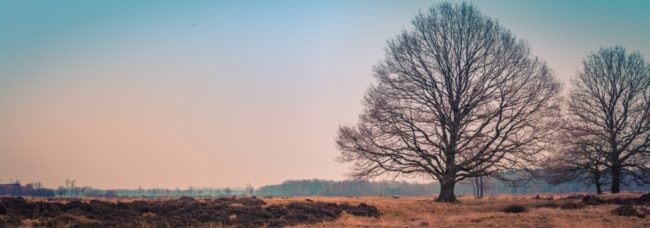Takkenhoogte met links de uitkijkbult foto Harry Siegers 