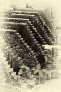 foto Harry Siegers